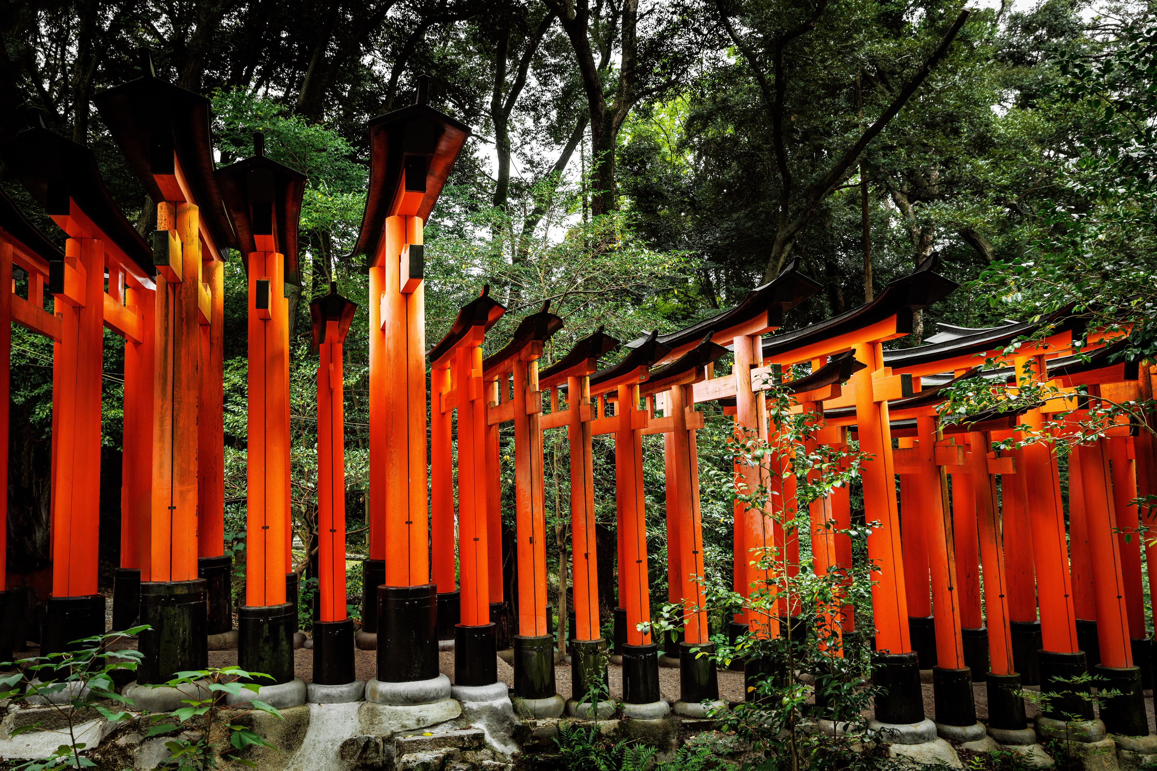 Japanese Torii Gates